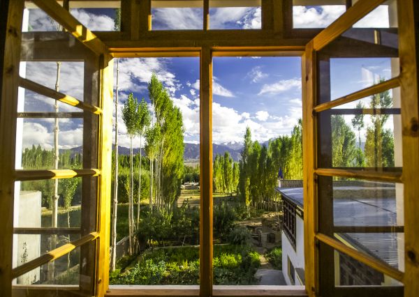 Cost of Wood Window Replacement in Waxhaw
